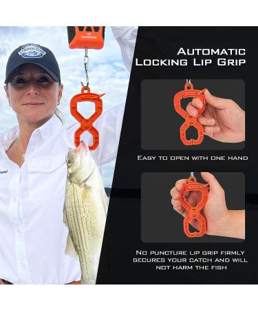 KastKing Fish Scale  WideView Floating Waterproof Digital Scale  2.5 Large LCD Display  110lb Capacity  Multi-Mode Pound/Ounces & Kilograms  Stores up to 9 Weights  Fishing Gifts for Men B: Orange combo - Buy Online on GoSupps.com