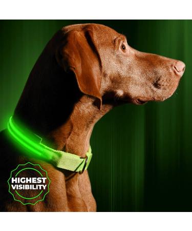 ILLUMISEEN LED Dog Collar USB Rechargeable - Bright & High Visibility Lighted Glow Collar for Pet Night Walking - Weatherproof, in 6 Colors & 6 Sizes Neon Green Large (L) - 19" - 24"