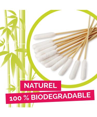 Bamboostick - Pack of 3 Packs of 50 L/XL Cotton Buds for Cleaning the Ears of Large Dogs - Easy to Use - Developed by a French Veterinarian - Buy Online on GoSupps.com