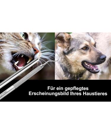 Effective Dog Tartar Remover - Stainless Steel Dental Care Tool for Pets | Pointed & Round Tooth Cleaner - Buy Online on GoSupps.com