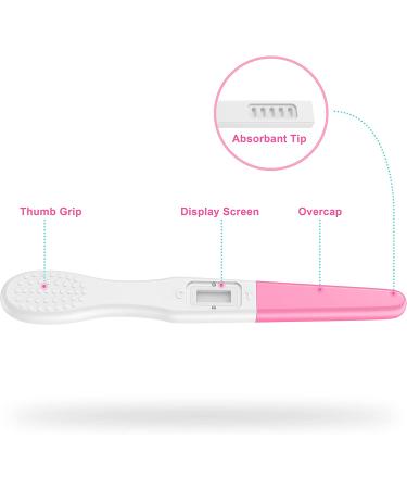 Docalon Early Pregnancy Test Kit - 2 Clear & Accurate At-Home Tests - Individually Sealed for Easy Detection - Buy Online on GoSupps.com