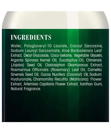 Botanic Hearth Aloe Vera Hand Soap with Eucalyptus Essential Oil - 16 fl oz - Buy Online on GoSupps.com