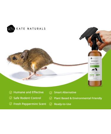 Kate Naturals 16oz Rodent Repellent Spray - Peppermint Oil Formula for Mice, Rats, Raccoons, and Ants - Non-Toxic Outdoor Pest Control - Made in USA - Buy Online on GoSupps.com