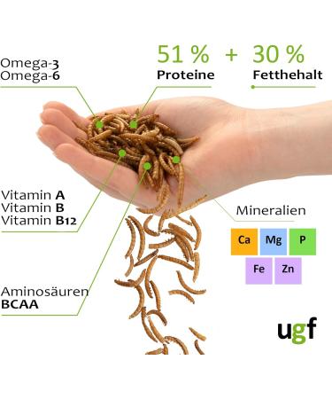 UGF Juicy Preserved Mealworms 140g - Premium Bird Food Hedgehog & Squirrel Treats Year-Round Nutrition - Buy Online on GoSupps.com
