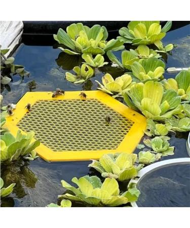 Colorful Bee Watering Station Bee Waterer and Butterfly Water Stations Floating Bee Island Use for Bee Cups for Garden Bee Water Catcher Cups for Thirsty Pollinators(Color:Purple) - Buy Online on GoSupps.com
