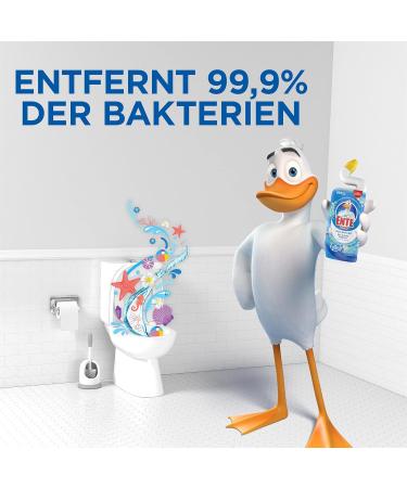 WC-Ente Liquid Toilet Cleaner with Duck Neck 750 ml Toilet Gel 5-in-1 Marine - Buy Online on GoSupps.com