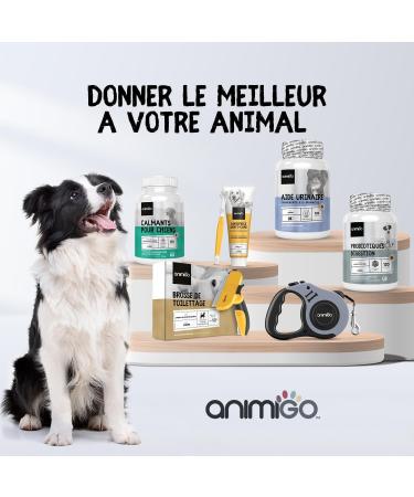 Urinary Aid for Dogs Relief from Urinary Discomfort Synergy with Cranberry Astragalus Root D-Mannose & Marshmallow Root 120 Capsules Dog Bladder Wellness Food Supplement - Buy Online on GoSupps.com