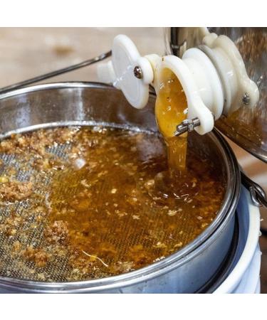 L'abella Mel - Acacia Honey - Natural Honey (1 kg) - Buy Online on GoSupps.com