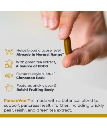 Premier Research Labs PancreVen - Pancreas Support Pancreas Supplement Cinnamon Supplements with Organic Ceylon Cinnamon & Prickly Pear to Aid Pancreas Health - 120 Vegetarian Capsules - Buy Online on GoSupps.com