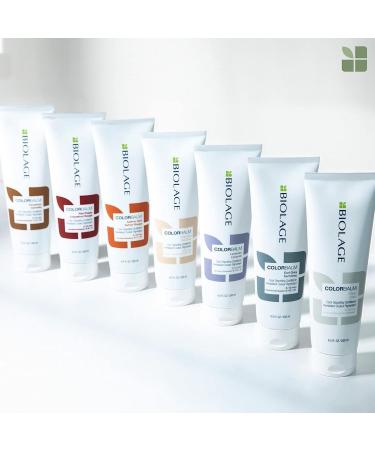 Biolage Color Balm Earl Grey 8.5 fl. oz. | Vegan Semi-Permanent Hair Color Conditioner for Vibrant Hydration - Buy Online on GoSupps.com