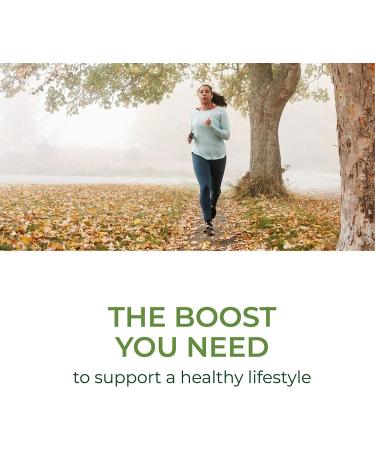 Buy MegaFood One Daily Multivitamin - 180 Tablets for Optimal Health - Buy Online on GoSupps.com