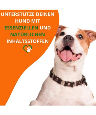 Mahu Nature Dorschlebertran for Dogs & Cats 1L | Natural BARF Oil with Omega 3 (EPA + DHA) & Vitamins | Eco-Friendly Packaging - Buy Online on GoSupps.com