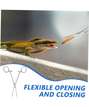 Levemolo Reptile Feeding Clip Lizard Stuff Aquarium Pipette Snake Tong Silver Stainless Steel - Buy Online on GoSupps.com