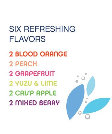 Phocus Caffeinated Sparkling Water Variety Pack - Clean Energy Drink with Caffeine and L-Theanine - 0 Sugar, Calories, or Carbs - Non GMO, Whole 30, Keto, Vegan, Kosher - 11.5 Fl Oz (12 Pack) - Buy Online on GoSupps.com