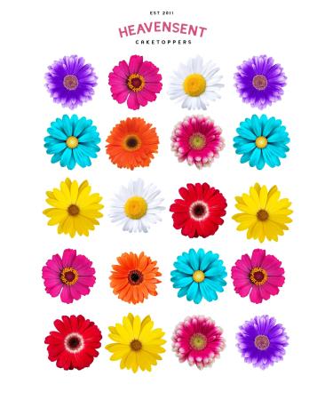 Cake Topper Edible Pre-cut 40 Daisy Multi Colour Premium Thick Sweet Wafer Card Standing Cupcake Toppers Birthday Party Cake Decorations