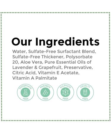 Rebel Green Lavender & Grapefruit Liquid Hand Soap | Natural, Sulfate-Free, Hypoallergenic - 16oz Pump (Pack of 4) - Buy Online on GoSupps.com