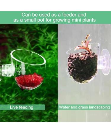 Vueinrg 8-Piece Aquarium Plant Pot Set - Decorative Glass Cups with Suction Cups for Shrimp Landscape Decor - Buy Online on GoSupps.com