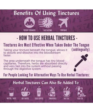 Sun God Medicinals Ra Herbals Organic Chaga Liquid Extract - Vitality Support - 1 fl oz - Buy Online on GoSupps.com