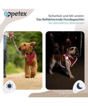 Petex Dog Harness for Small & Medium Dogs - TUV Tested Made in Europe Reflective & Breathable with Air Mesh Technology - Red XS - Buy Online on GoSupps.com