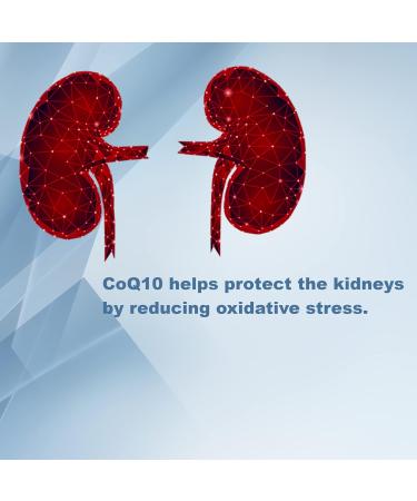 LifeLink CoQ10 | 90 mg x 30 Capsules | Heart Health Energy | Gluten Free & Non-GMO | Made in The USA - Buy Online on GoSupps.com