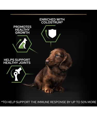 PRO PLAN Small & Mini Puppy with OPTISTART Rich in Chicken - 7 KG - Dry food for small breed puppies - Buy Online on GoSupps.com