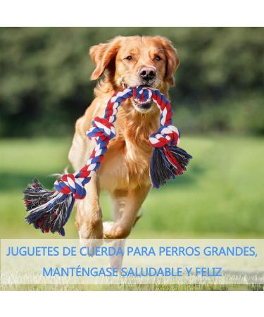 Viewlon Robust Dog Toy Rope - Interactive 75cm Chew Toy for Small/Medium Dogs | Durable 4 Knots | Aggressive Chewing & Dental Cleaning - Blue - Buy Online on GoSupps.com