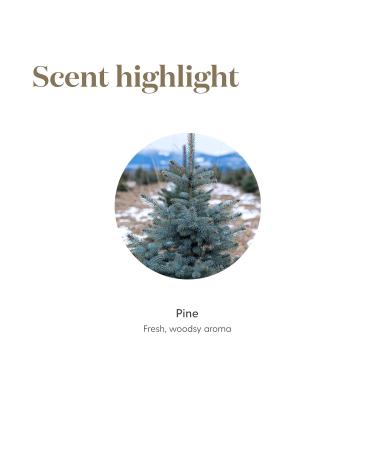 Pine Essential Oil 5ml by Young Living | Uplifting Aroma & Refreshing Breathing | Repels Negative Energy | Ideal for Essential Oil Diffusers - Buy Online on GoSupps.com
