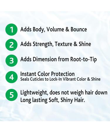 SNOBGIRLS BODYDENSE Plumping Hydrating Volumizing Shampoo for Fine Hair Volume Texture Body Lift Lightweight Vegan Shampoo for Fine Frail Dry or Limp Hair - Buy Online on GoSupps.com