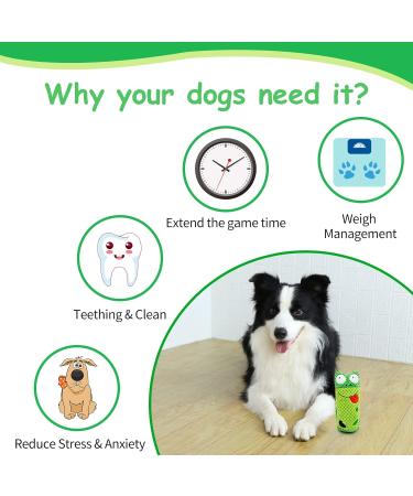 Interactive Squeaky Dog Toy for Small and Medium Dogs - Malydyox Soft Puppy Teething Toy for Boredom Relief and Training - Buy Online on GoSupps.com