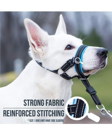 Goodboy Dog Halter with Service Birth - Padded No-Pull Leash Harness for All Dog Sizes (Size 1 Blue) - Durable Nylon & Comfortable Fit - Buy Online on GoSupps.com