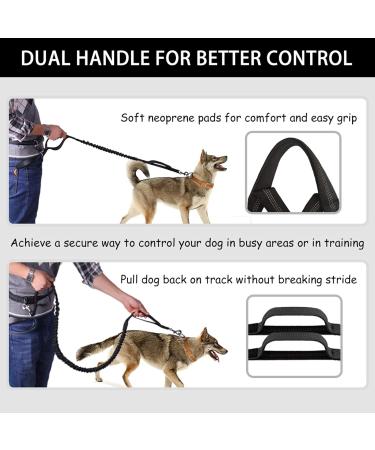 Pet Room Jogging Leash for Dogs - Elastic & Reflective Running Leash with Hip Belt for Large & Medium Dogs - Perfect for Running Jogging & Hiking - Buy Online on GoSupps.com