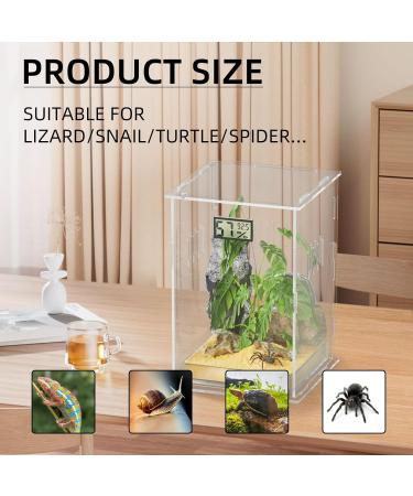 Optimized Giznzg Terrarium for Reptiles - Acrylic Feeding Box with Digital Thermometer & Hygrometer for Spider Snail Frog Lizard Turtle (25x15x15cm) - Best Reptile Breeding Habitat - Buy Online on GoSupps.com