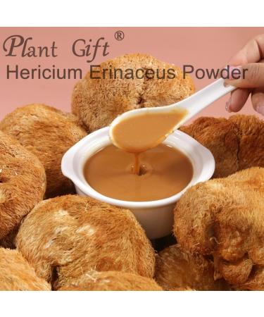 Hericium Erinaceus Powder 100% Natural Pure 100g/3.52oz Lions Mane Mushroom Powder - Buy Online on GoSupps.com