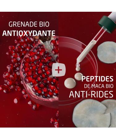 WELEDA - Pomegranate and Maca Firming Serum - Anti-aging firming treatment for women aged 40 and over - Reduces wrinkles and firms - Mature skin - NATRUE* - Vegan*** - 30 ml - Buy Online on GoSupps.com