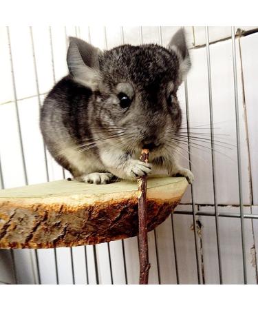 Sharllen Apple Sticks Pet Chew Toys for Rabbits, Chinchillas, Guinea Pigs - 3.5 oz (1 Pack) - Buy Online on GoSupps.com