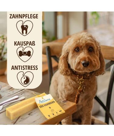 Petlove Hard Cheese for Dogs | 100% Natural Chewing Bones | Cauca Cheese Dental Treats | Ideal for On-the-Go | 3 Pack XS (10-30g) - Buy Online on GoSupps.com