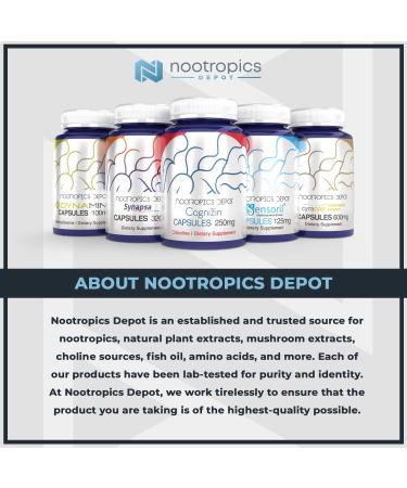 Nootropics Depot Agmatine Sulfate Capsules 250mg | 240 Count | Energy & Workout Recovery Supplement | Boost Nitric Oxide & Physical Strength - Buy Online on GoSupps.com