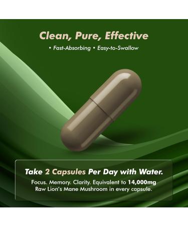 HERVIVA Lions Mane Mushroom 14 000 mg Raw Equivalent/Serving (from 1 000 mg Extract) 120 Lion s Mane Supplement Capsules | 2-Capsule Per Serving | 2-Month Supply - Buy Online on GoSupps.com