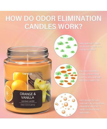TRINIDa Orange & Vanilla Scented Odor Eliminating Candles Gift Set for Women - Natural Soy, Premium Fragrance - Eliminates 99% of Pet Smoke & Other Odors Quickly - Buy Online on GoSupps.com