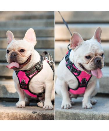PoyPet No Pull Dog Harness | Adjustable Reflective Vest for Small to Large Dogs | Easy Control Handle | Medium Pink - Buy Online on GoSupps.com