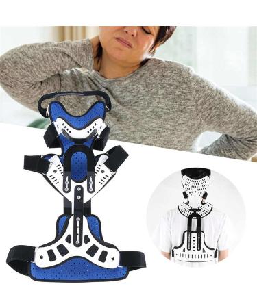 Recrause Cervical Spine Support - Fragrance Neck Corrector for Pain Relief & Stiffness Relief - Buy Online on GoSupps.com