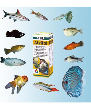 JBL Atvitol Multivitamin for Aquarium Fish - 50 ml Drops | Essential Nutrition for Healthy Fish - Buy Online on GoSupps.com