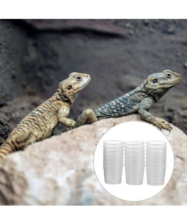 Balacoo 20pcs Pet Feeding Cup Paint Measuring Cups Small Gecko Food and Water Cups Reptile Feeder Cup Animal - Buy Online on GoSupps.com