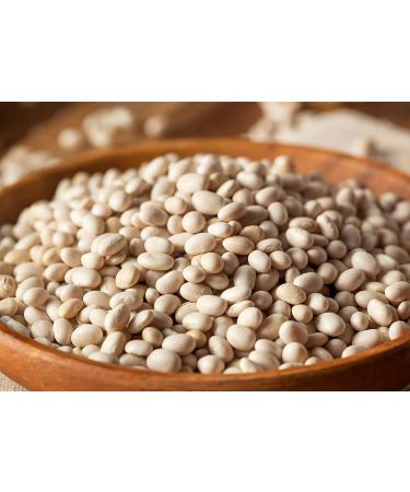 Navy Beans  2 Pounds  Non-GMO Verified  Raw  Dried  Vegan  Kosher  Whole Small White Kidney Beans in Bulk  Good Source of Protein  Fiber  Folate  and Copper. Low Sodium. Great for Cooking and Soups - Buy Online on GoSupps.com