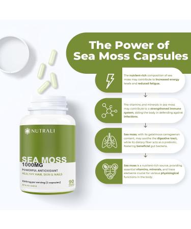 New BONUS SIZE HIGH POTENCY 1000mg Irish Sea Moss Capsules (2 capsules per serving) with Seawrack Burdock & Zinc. Immune Support Improved Skin Hair Nail Health Powerful Antioxidant. Natural Iodine. Non-GMO Vegan Gluten Free. 90 Easy to Swallow Capsules 3  - Buy Online on GoSupps.com