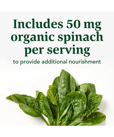 Buy MegaFood Magnesium 90 Tablets - Premium Magnesium Supplement for Relaxation & Health - Buy Online on GoSupps.com