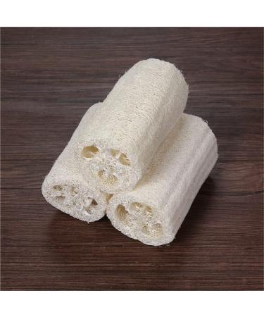 Durability Popular Body Sponge Bath Cleaning and Cleaning Work Set of 3 Stylish Nice and Deft - Buy Online on GoSupps.com