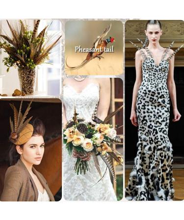 AWAYTR 20pcs Natural Female Pheasant Feathers - 8-11inch DIY Decoration - Buy Online on GoSupps.com