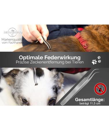 Original Tick Tweezers | Splinter Tweezers 11.5 cm for Safe and Easy Removal - International Shipping Available - Buy Online on GoSupps.com