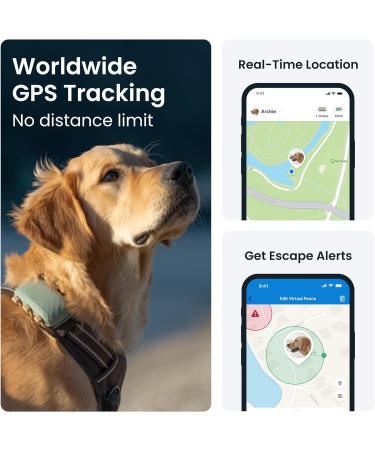 Tractive XL GPS Dog Tracker | 1 Month Battery Life | Global Real-Time Location | Escape Alerts | Health Monitoring - Buy Online on GoSupps.com